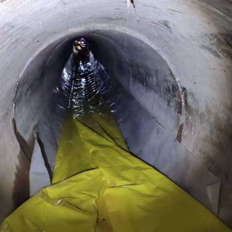 广昌管道光固化修复